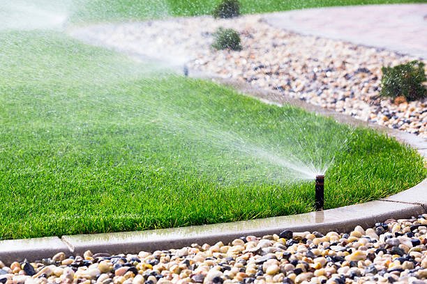 Pop-up sprinkler watering a green lawn