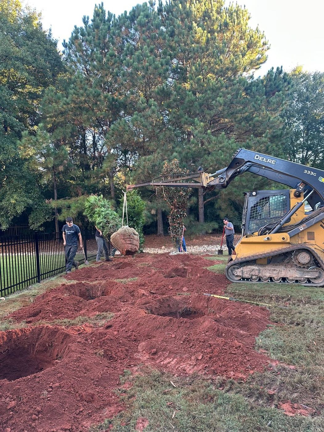 Green Wave crew planting large balled trees with a track loader