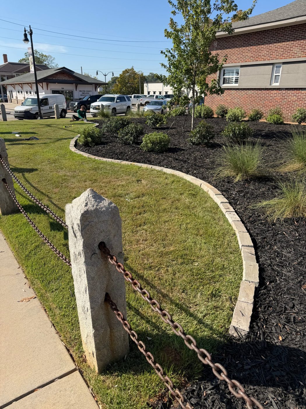 Commercial planting bed with stone edging, shrubs, grasses and a new tree